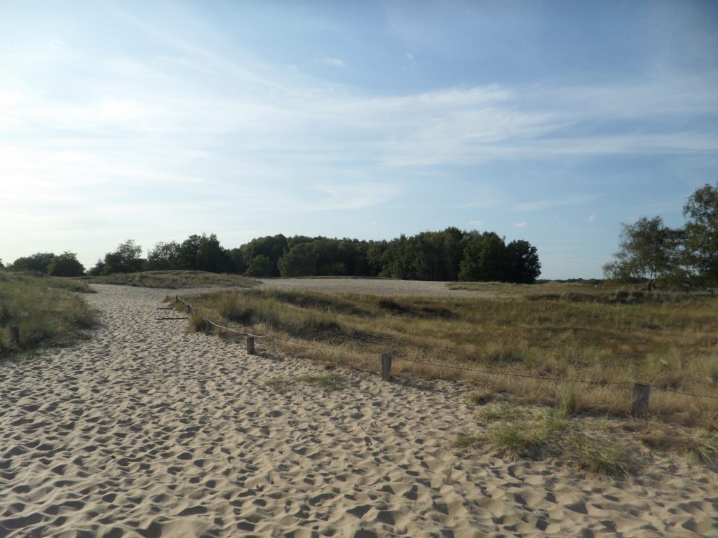 Песчаные дюны в заповеднике Boberger Niederung