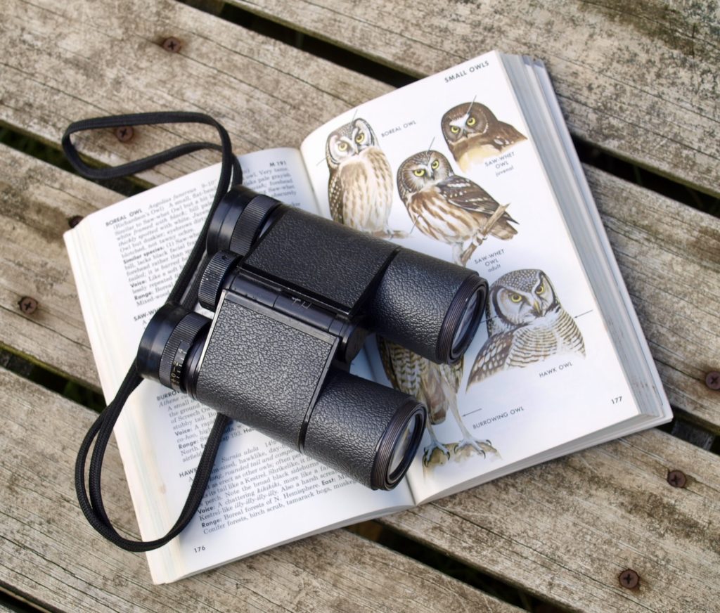 environmental education. binoculars with book on birds