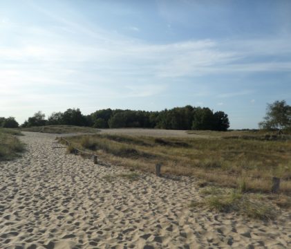 Песчаные дюны Боберга