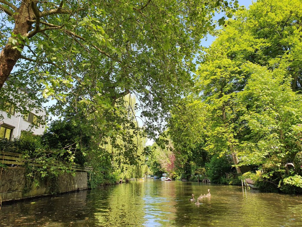 picturesque Alster River